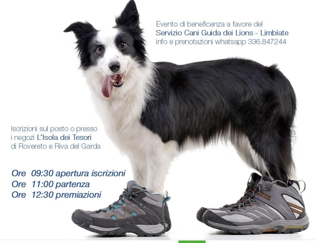“Maratona a sei zampe”