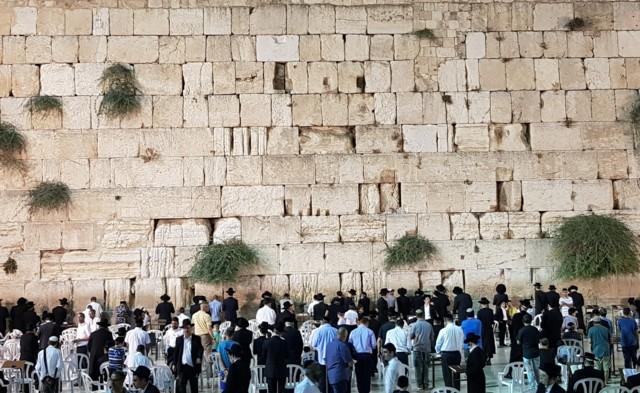 Viaggiando nei territori di Israele e Giordania – Di Nadia Clementi – Visitare questi luoghi significa soprattutto comprendere i tanti aspetti e le sfumature che una semplice lettura dei notiziari impedisce di cogliere realisticamente