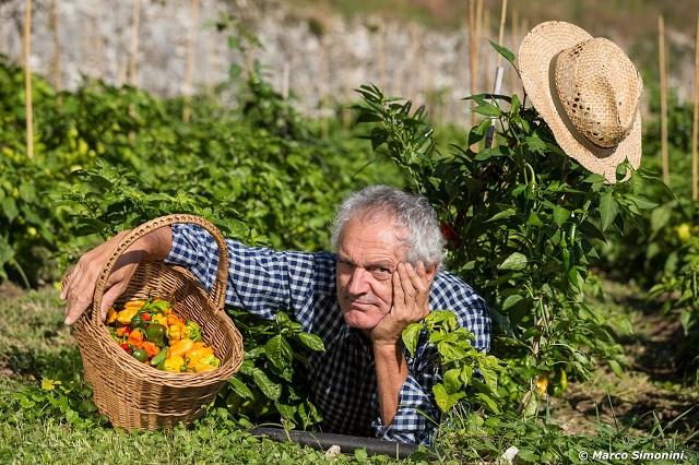 «Peperoncino Trentino» – Di Nadia Clementi