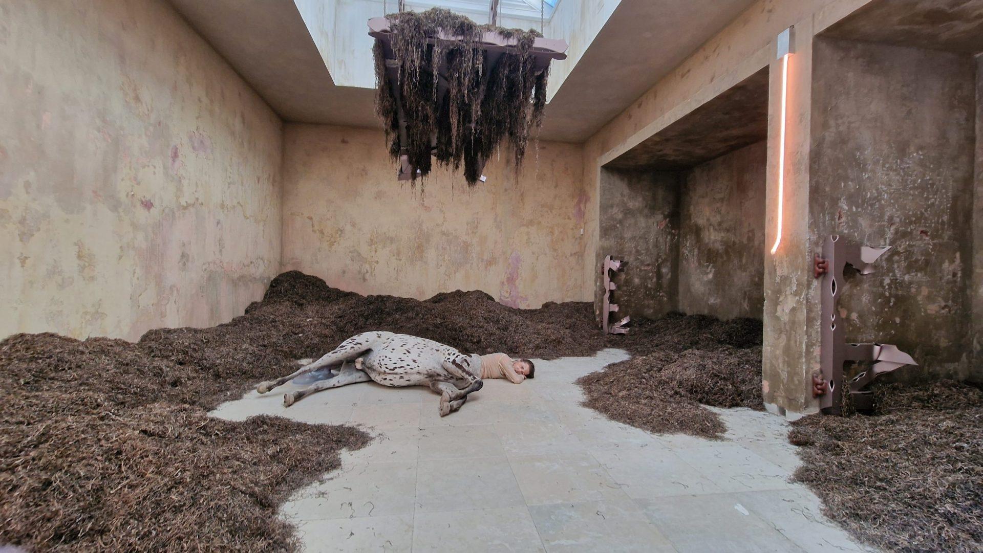 Biennale di Venezia 2022: Il latte dei sogni