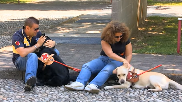 Obiettivo: supportare i cani guida